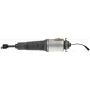 DORMAN 949-971 Air Suspension Air Strut Assembly