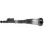 DORMAN 949-975 Air Suspension Air Strut Assembly