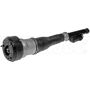 DORMAN 949-975 Air Suspension Air Strut Assembly