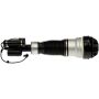 DORMAN 949-982 Air Suspension Air Strut Assembly