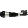 DORMAN 949-982 Air Suspension Air Strut Assembly