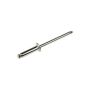 DORMAN 961-015 Rivet - Steel - 1/8 In.-Assortment