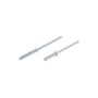 DORMAN 961-020 Rivet - Steel - 1/8 In.-Assortment