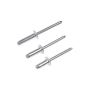 DORMAN 961-030 Rivet - Aluminum - 3/16 In.-Assortment