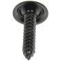 DORMAN 961-201D Trim Screw - Black - No.10-16 X 1 In.
