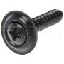 DORMAN 961-201D Trim Screw - Black - No.10-16 X 1 In.