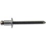 DORMAN 963-204 Bumper Blind Rivet-Exterior-GM