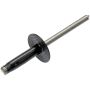 DORMAN 963-205 Blind Rivet Retainer-GM-Diameter 3/16 In.