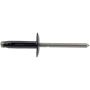 DORMAN 963-205 Blind Rivet Retainer-GM-Diameter 3/16 In.