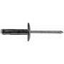 DORMAN 963-205D GM Blind Rivet Retainer - Diameter 3/16 In.