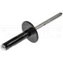 DORMAN 963-205D GM Blind Rivet Retainer - Diameter 3/16 In.