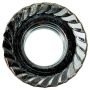 DORMAN 983-110D Serrated Flange Hex Nut-JIS-Class 10.9- M10-1.25mm