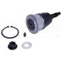 DORMAN B6696XL Suspension Ball Joint