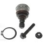 DORMAN BJ63145XL Suspension Ball Joint