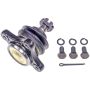 DORMAN BJ67065PR Suspension Ball Joint