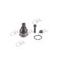 DORMAN BJ69305XL Suspension Ball Joint