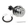 DORMAN BJ74405XL Suspension Ball Joint