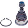 DORMAN BJ81016XL Suspension Ball Joint