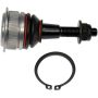 DORMAN BJ81236XL Suspension Ball Joint