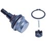 DORMAN BJ82305XL Suspension Ball Joint