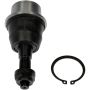 DORMAN BJ82495XL Suspension Ball Joint
