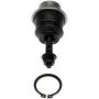 DORMAN BJ85186XL Suspension Ball Joint