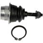 DORMAN BJ85186XL Suspension Ball Joint