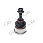 DORMAN BJ91175XL Suspension Ball Joint