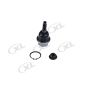 DORMAN BJ92165XL Suspension Ball Joint