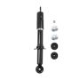 PRT PERFORMANCE RIDE 393171 PRT Suspension Strut