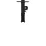 PRT PERFORMANCE RIDE 477136 PRT Suspension Strut