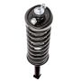 PRT PERFORMANCE RIDE 710076 PRT Complete Strut Assembly
