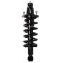 PRT PERFORMANCE RIDE 710079 PRT Complete Strut Assembly