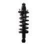 PRT PERFORMANCE RIDE 710080 PRT Complete Strut Assembly