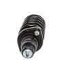 PRT PERFORMANCE RIDE 710139 PRT Complete Strut Assembly