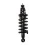 PRT PERFORMANCE RIDE 710139 PRT Complete Strut Assembly