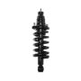 PRT PERFORMANCE RIDE 710139 PRT Complete Strut Assembly
