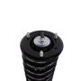 PRT PERFORMANCE RIDE 710252 PRT Complete Strut Assembly