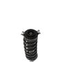PRT PERFORMANCE RIDE 710310 PRT Complete Strut Assembly