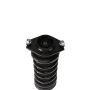 PRT PERFORMANCE RIDE 710371 PRT Complete Strut Assembly