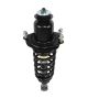 PRT PERFORMANCE RIDE 710422 PRT Complete Strut Assembly
