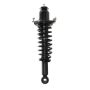 PRT PERFORMANCE RIDE 710424 PRT Complete Strut Assembly