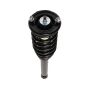 PRT PERFORMANCE RIDE 710781 PRT Complete Strut Assembly