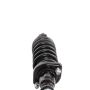 PRT PERFORMANCE RIDE 710790 PRT Complete Strut Assembly