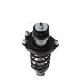 PRT PERFORMANCE RIDE 710791 PRT Complete Strut Assembly