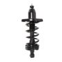 PRT PERFORMANCE RIDE 710793 PRT Complete Strut Assembly