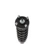 PRT PERFORMANCE RIDE 710797 PRT Complete Strut Assembly
