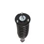 PRT PERFORMANCE RIDE 713002 PRT Complete Strut Assembly