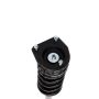 PRT PERFORMANCE RIDE 713123 PRT Complete Strut Assembly