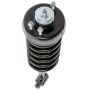 PRT PERFORMANCE RIDE 714004 PRT Complete Strut Assembly
